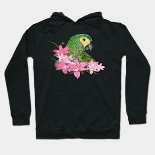 Red-bellied Macaw Hoodie